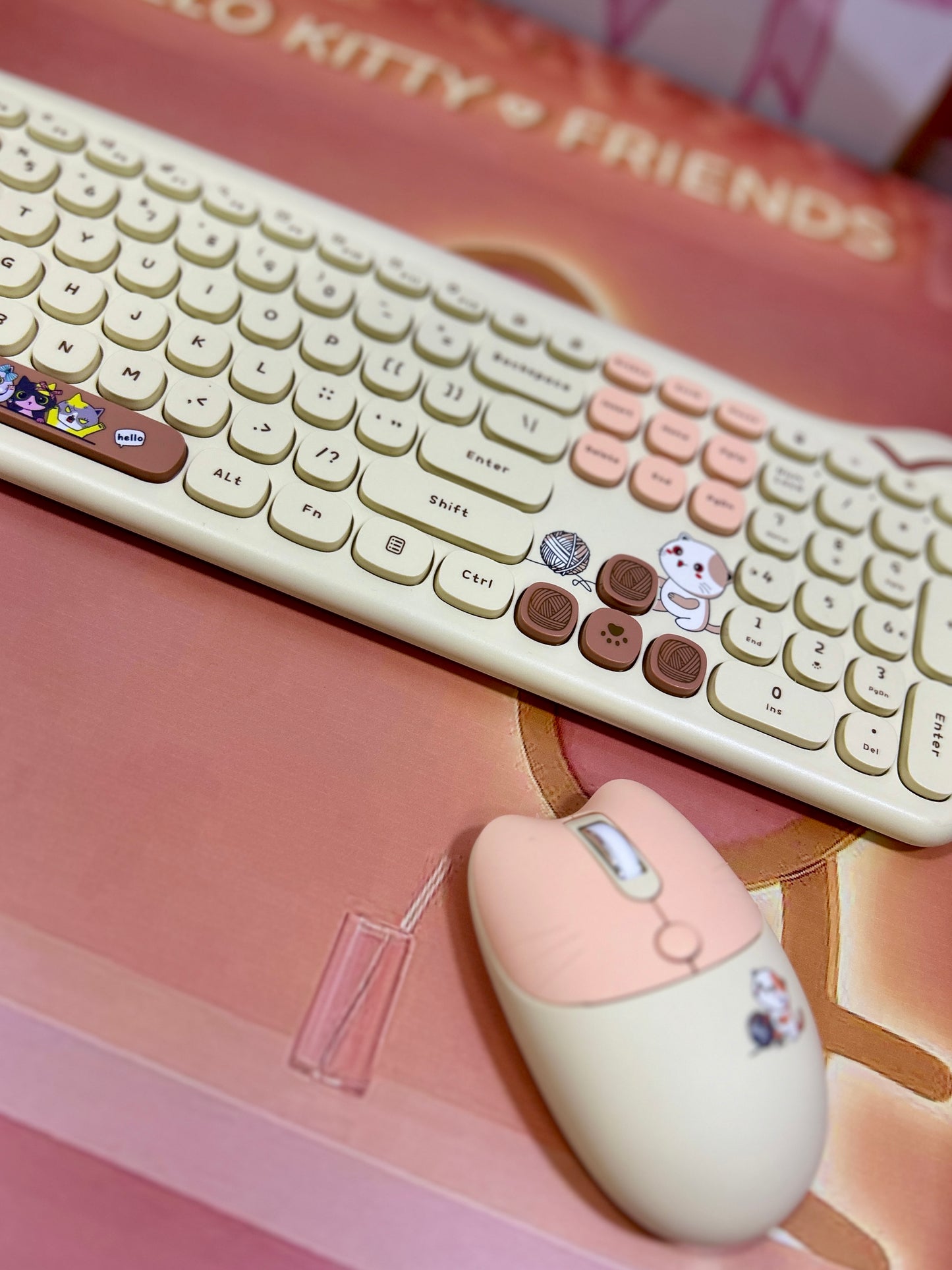 Teclado gatuno + Mouse.