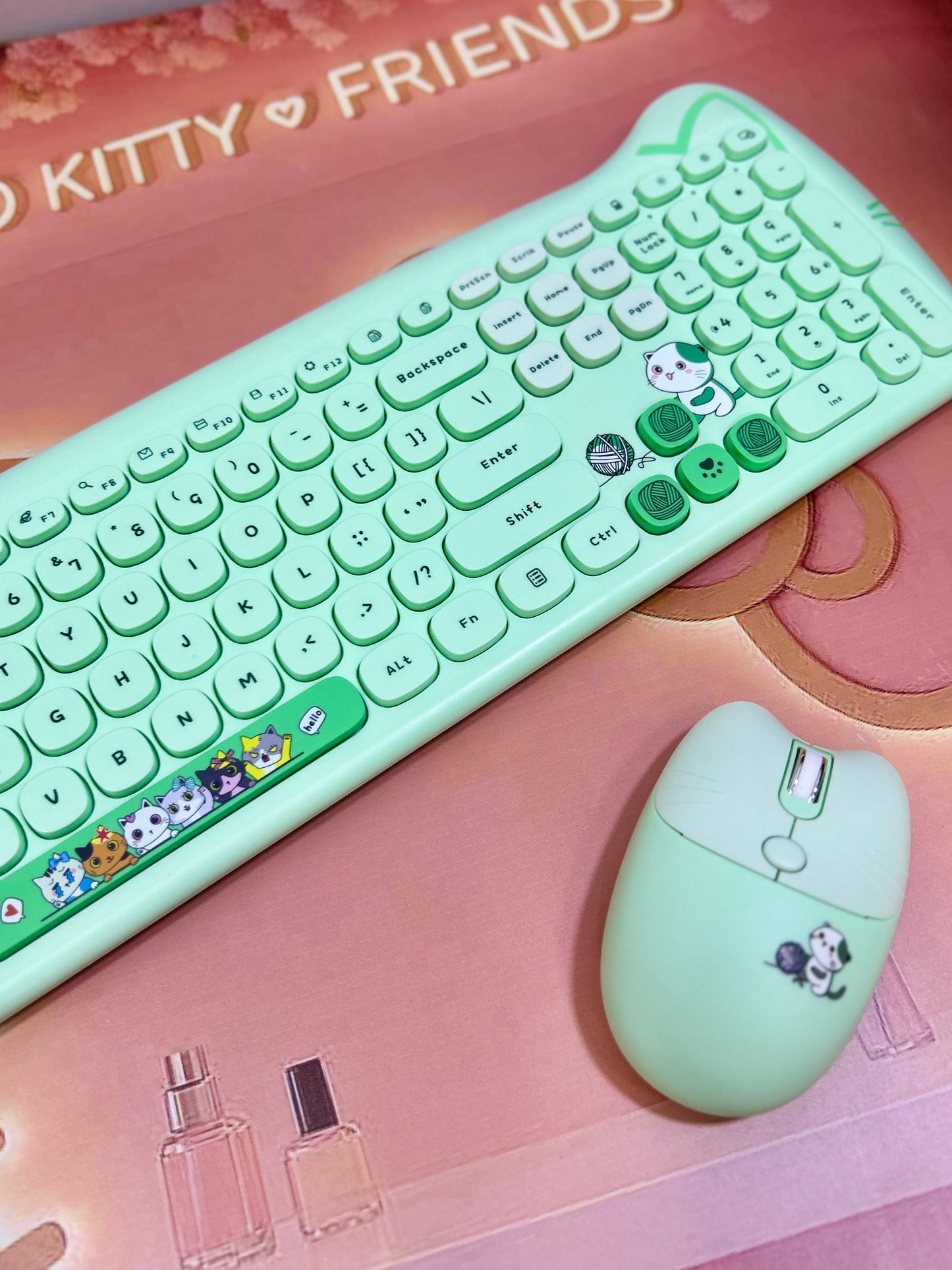 Teclado gatuno + Mouse.