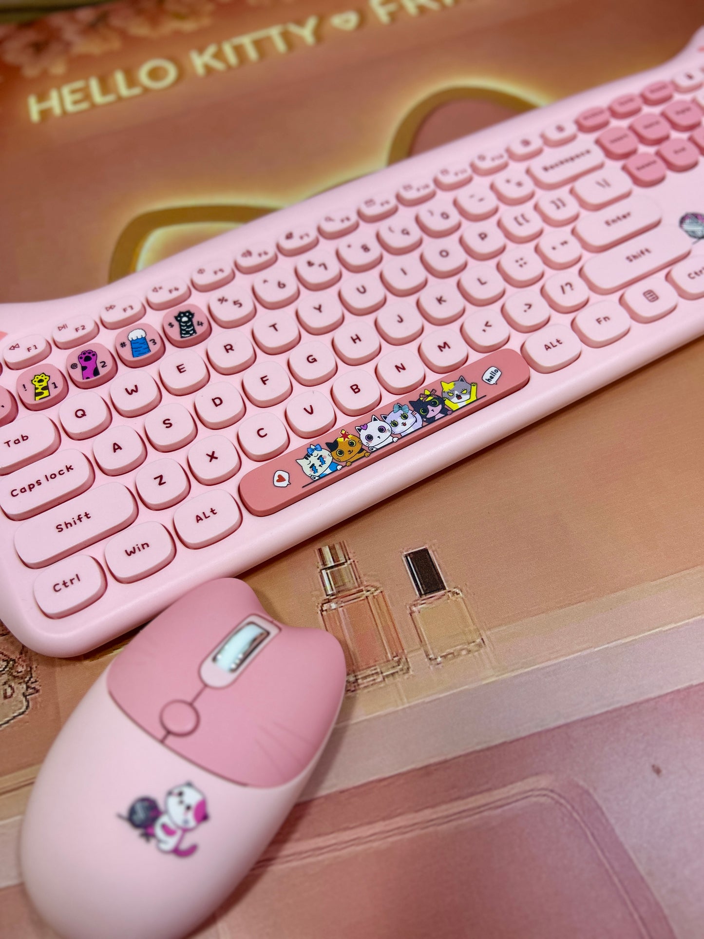 Teclado gatuno + Mouse.